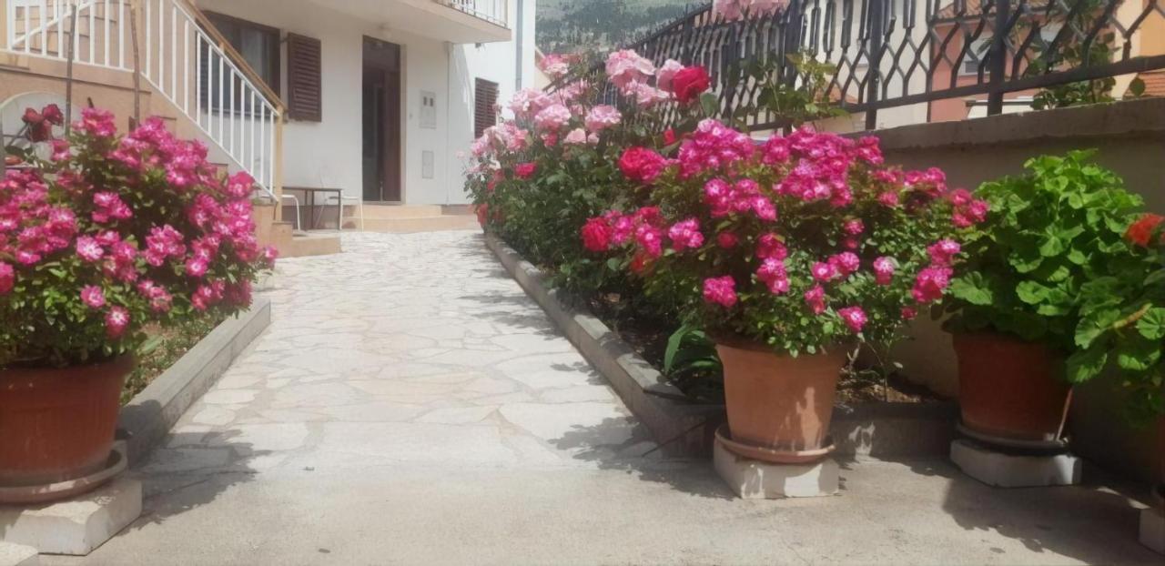 מוסטר Cheap House Near The Center Of The City מראה חיצוני תמונה